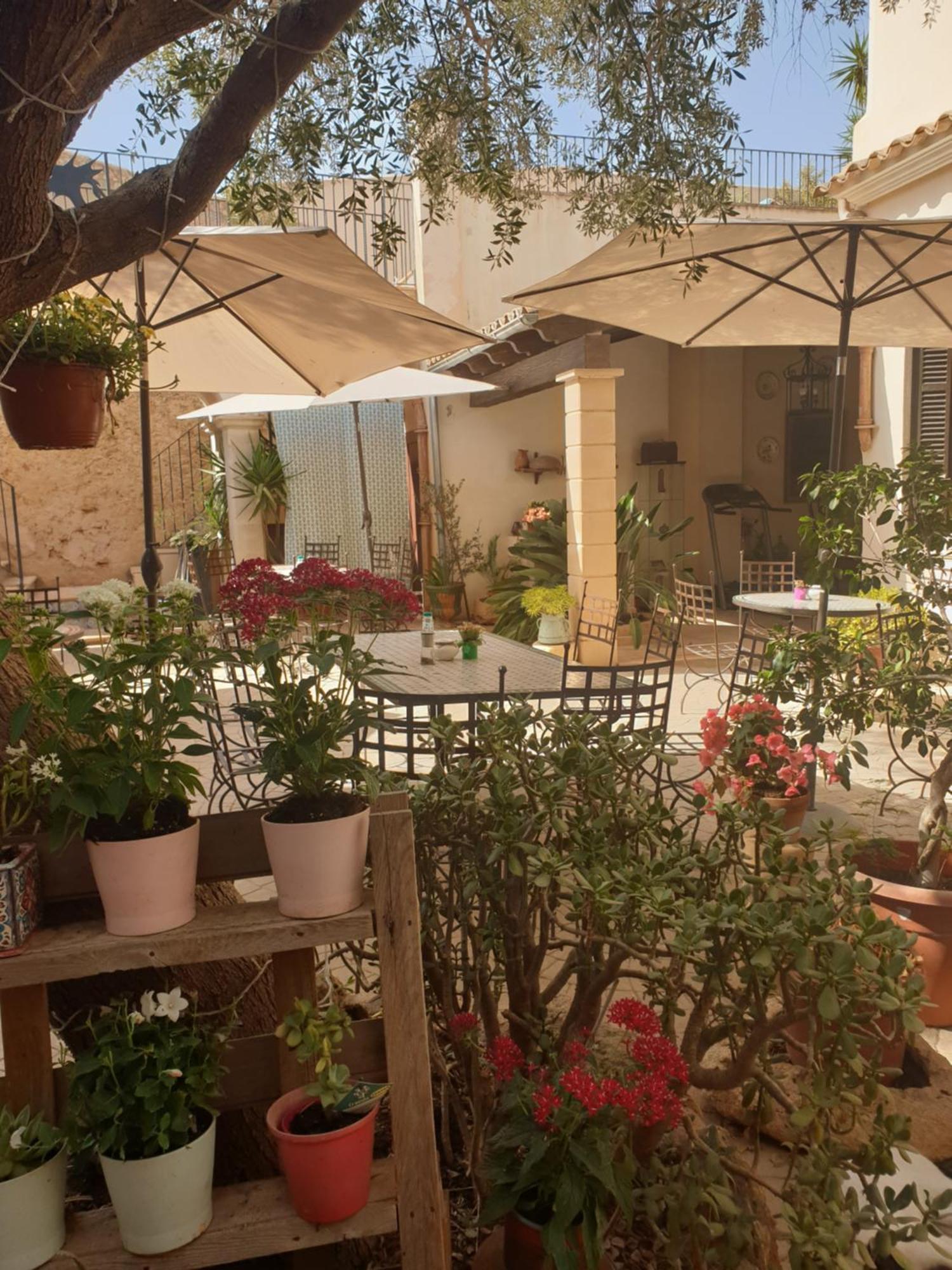 Hotell Segles - Turismo De Interior 4*